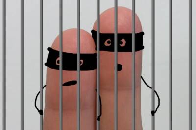Хабаровчане осуждены за ограбление ювелирного магазина в медицинских масках - hab.aif.ru - Россия - Санкт-Петербург - Хабаровск