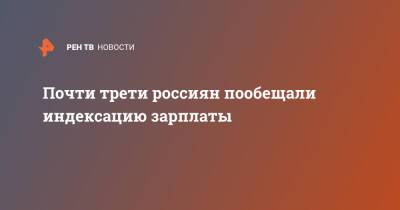 Почти трети россиян пообещали индексацию зарплаты - ren.tv - Россия