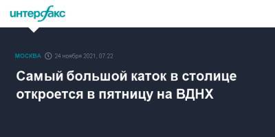 Наталья Сергунина - Самый большой каток в столице откроется в пятницу на ВДНХ - interfax.ru - Москва - Россия