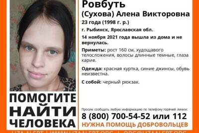 В Ярославской области пропала молодая мать двоих детей - yar.mk.ru - Россия - Ярославская обл. - Рыбинск