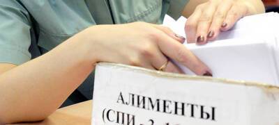 Злостных неплательщиков алиментов в Карелии отдали под суд - stolicaonego.ru - район Кемский - республика Карелия