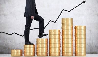 42% сотрудников ждут повышения зарплаты к Новому году - newizv.ru
