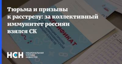Тюрьма и призывы к расстрелу: за коллективный иммунитет россиян взялся СК - nsn.fm - Россия