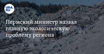 Пермский министр назвал главную экологическую проблему региона - ura.news - Пермь - Пермский край