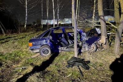 Жена водителя погибла в дорожной аварии в Великих Луках - mk-pskov.ru - Россия - Псковская обл. - Псков