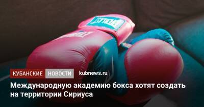 Умар Кремлев - Международную академию бокса хотят создать на территории Сириуса - kubnews.ru - Краснодарский край