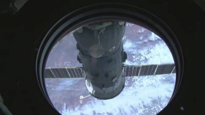 Илон Маск - Обломок ракеты SpaceX не угрожает МКС - vesti.ru