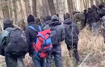Андрей Суздальцев - Мигранты вырыли окопы и землянки на границе с Польшей - charter97.org - Белоруссия - Польша