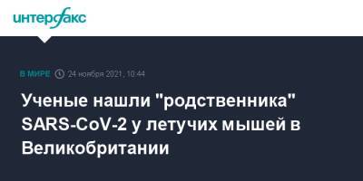 Ученые нашли "родственника" SARS-CoV-2 у летучих мышей в Великобритании - interfax.ru - Москва - Англия - Великобритания