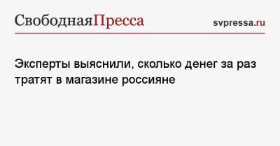 Эксперты выяснили, сколько денег за раз тратят в магазине россияне - svpressa.ru - Россия