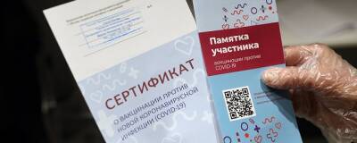 Наталья Поклонская - Депутаты Госдумы не рассмотрят законопроекты об обязательных QR-кодах в декабре 2021 года - runews24.ru - Россия - Кабо Верде