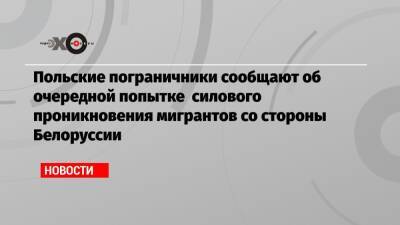 Польские пограничники сообщают об очередной попытке силового проникновения мигрантов со стороны Белоруссии - echo.msk.ru - Белоруссия - Минск