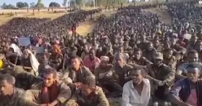 Премьер отправился на фронт, а Запад призывает покинуть страну: что происходит в Эфиопии (видео) - focus.ua - США - Украина - Англия - Германия - Франция - Эфиопия - Аддис-Абеба