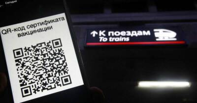 Законопроекты об обязательных QR-кодах не рассмотрят в декабре - ren.tv