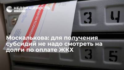 Татьяна Москалькова - Москалькова: для получения субсидий не надо смотреть на задолженности по оплате ЖКХ - realty.ria.ru - Москва - Россия