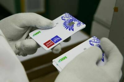 Эльвира Набиуллина - Доля карт «Мир» на рынке достигла 25% - pnp.ru - Россия - Армения - Узбекистан - Белоруссия - Турция - Кипр - Эмираты - Вьетнам
