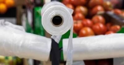 Кабмин намерен запретить бесплатные пластиковые пакеты - dsnews.ua - Украина - Экология