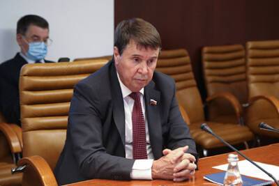 Сергей Цеков - В Совфеде объяснили украинскую спецоперацию против нелегальных мигрантов - lenta.ru - Украина - Белоруссия - Ирак