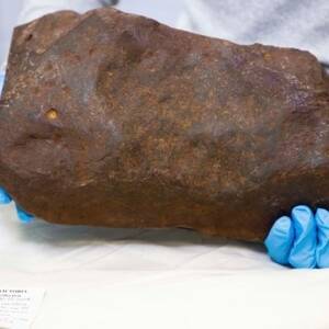 Житель Австралии нашел метеорит возрастом 4,6 млрд лет. Фото - reporter-ua.com - Австралия