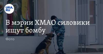 В мэрии ХМАО силовики ищут бомбу. Фото - ura.news - Тюменская обл. - Югра