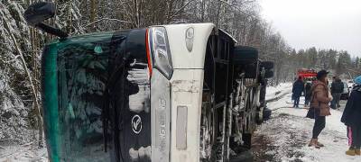 Стало известно, кто ехал в перевернувшемся на трассе в Карелии автобусе (ФОТО) - stolicaonego.ru - Севастополь - республика Карелия