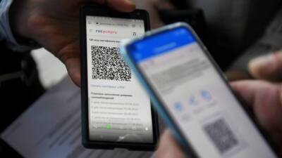В Госдуме не планируют рассматривать проекты о QR-кодах до 2022 года - 5-tv.ru - Россия