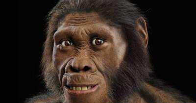 Раньше неандертальцев. В Южной Африке родственник человека ходил на двух ногах еще 2 млн лет назад - focus.ua - Россия - Украина - Юар