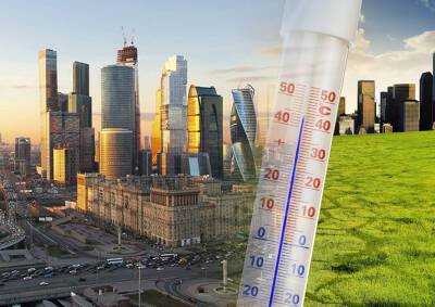 «2060 год – это предельный срок»: эколог оценил план Москвы по борьбе с изменением климата - mskgazeta.ru - Москва - Россия - Экология