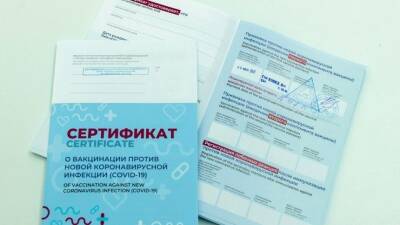 Владимир Путин - Татьяна Голикова - Путин поддержал идею Голиковой продлить действие «ковидных» сертификатов до года - 5-tv.ru - Россия