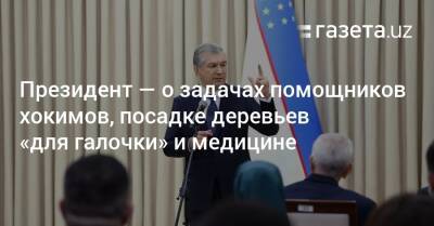 Шавкат Мирзиеев - Президент — о задачах помощников хокимов, посадке деревьев «для галочки» и медицине - gazeta.uz - Узбекистан - Ташкент - район Шайхантахурский