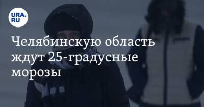 Челябинскую область ждут 25-градусные морозы. Скрин - ura.news - Челябинская обл.