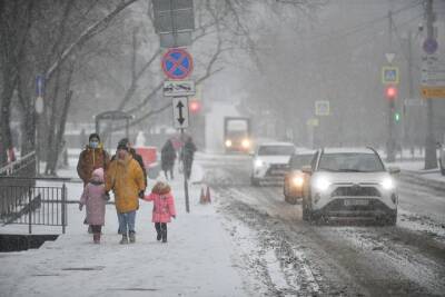 Столичных водителей попросили отложить поездки из-за снегопада - vm.ru - Москва