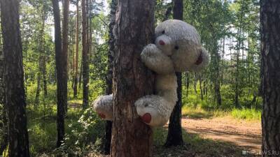 Сергей Колесник - Впервые в истории Челябинска депутаты не приняли отчет главы района - newdaynews.ru - Россия - Челябинск - район Калининский, Челябинск