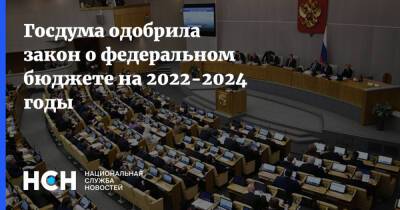 Госдума одобрила закон о федеральном бюджете на 2022-2024 годы - nsn.fm