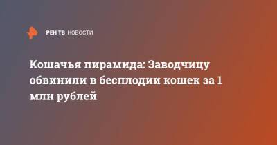 Кошачья пирамида: Заводчицу обвинили в бесплодии кошек за 1 млн рублей - ren.tv