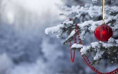 Вазир Мартазинов - Арктические холода наступят в Украине под Новый год - синоптик - lenta.ua - Украина