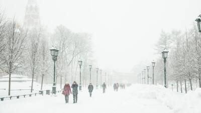Александр Шувалов - Синоптик Шувалов рассказал, когда в Москве закончится снегопад - russian.rt.com - Москва
