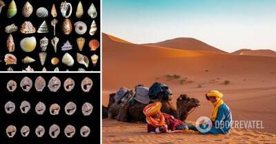 Археологи показали украшения, которым 150 тыс. лет – фото - obozrevatel.com - США - шт. Аризона - Марокко - Рабат
