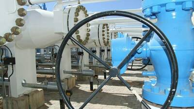 Сергей Комлев - В «Газпроме» назвали причину газового кризиса в Европе - iz.ru - Израиль