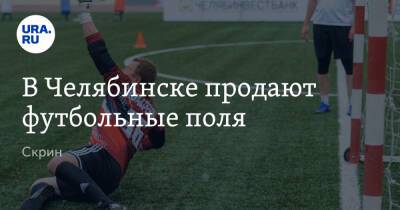 В Челябинске продают футбольные поля. Скрин - ura.news - Челябинск