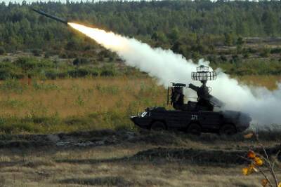 Польша отремонтирует советские комплексы «Оса» - lenta.ru - Польша