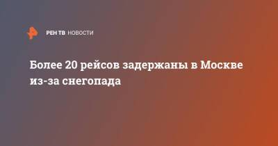 Более 20 рейсов задержаны в Москве из-за снегопада - ren.tv - Москва