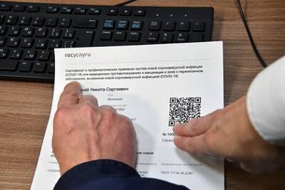 Названа дата рассмотрения законопроектов о QR-кодах - lenta.ru - Россия
