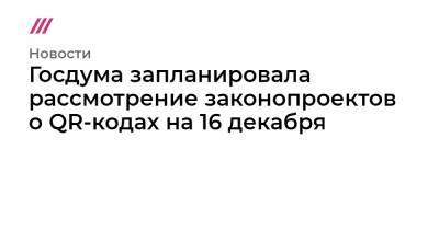 Госдума запланировала рассмотрение законопроектов о QR-кодах на 16 декабря - tvrain.ru