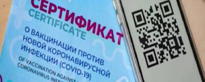 Власти ХМАО рассказали, для чего введен лимит на использование QR-кода в ТЦ - runews24.ru - Сургут - Югра