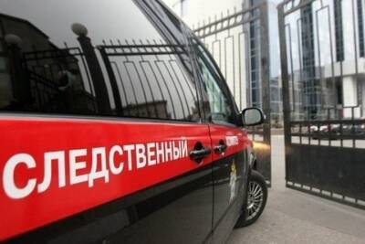 В Карелии дебошир избил сковородкой знакомую и оговорил полицейских - karel.mk.ru - Россия - Петрозаводск - республика Карелия