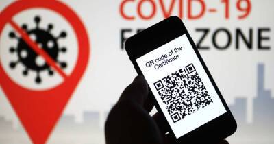 Владимир Круглый - Сенатор предложил выдавать QR-коды индивидуально по запросам граждан - ren.tv