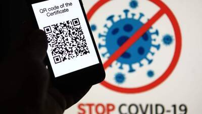 Ярослав Нилов - В Госдуме предложили выдавать QR-коды еще двум категориям россиян - iz.ru - Россия - Израиль