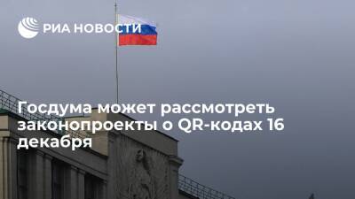 Вячеслав Володин - Госдума может рассмотреть правительственные законопроекты о QR-кодах 16 декабря - ria.ru - Москва - Россия
