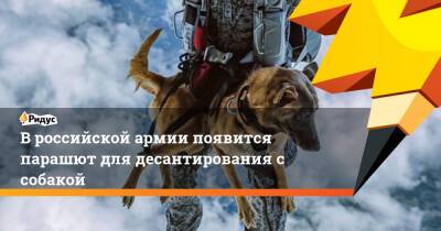 В российской армии появится парашют для десантирования с собакой - ridus.ru - Россия